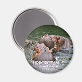 Aimant Hippopotame (Recto/Verso)