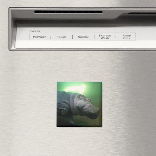 Aimant Hippopotame Abstrait (In Situ (Lave-vaisselle))