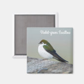 Aimant Hirondelle verte violette (Recto/Verso)