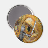 Aimant Histoire de Dragon Folk (Recto/Verso)