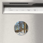 Aimant hiver (In Situ (Lave-vaisselle))