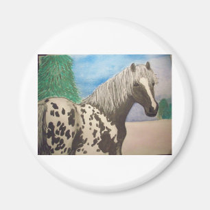Aimant Hiver d'Appaloosa