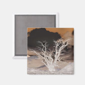 AIMANT HIVER DE LA MONTAGNE (Recto/Verso)