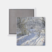 Aimant Hoar frost Markeaton Derby.UK.2012 (Recto/Verso)