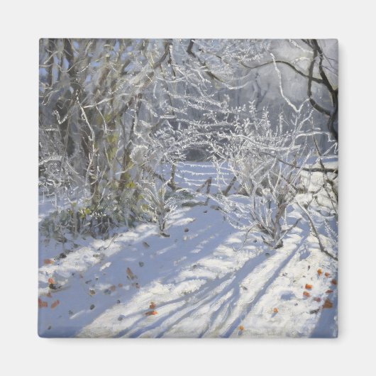 Aimant Hoar frost Markeaton Derby.UK.2012 (Devant)