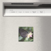 Aimant Hodokubo, Hino, Tokyo, Japon 5 (In Situ (Lave-vaisselle))