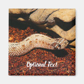 Aimant Hognose Pet Snack (Devant)