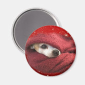 Aimant Holiday Chihuahua (Recto/Verso)