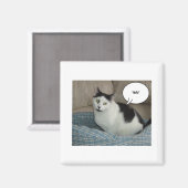 Aimant Holla ! (Recto/Verso)