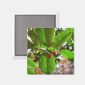 Aimant Holly Feuilles II Vacances Nature Botanique (Recto/Verso)