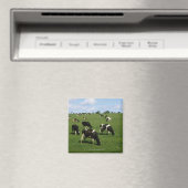 Aimant Holstein-Friesian, Irlande (In Situ (Lave-vaisselle))