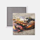 Aimant Homard du Maine (Recto/Verso)