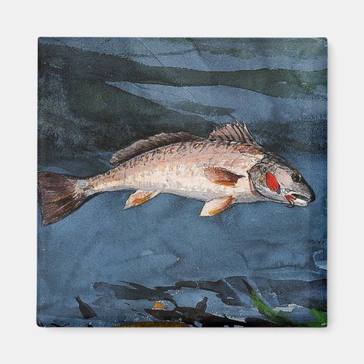 Aimant Homer - Channel Bass, Floride, (Devant)