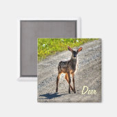 Aimant Homme Deer Faune Faune Animal Design (Recto/Verso)