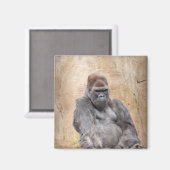 Aimant Homme Gorilla (Recto/Verso)
