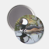 Aimant Homme Merganser Duck (Recto/Verso)
