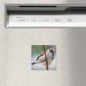 Aimant homme-moineau (In Situ (Lave-vaisselle))