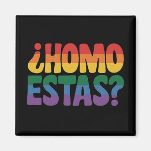 Aimant Homo Estas Funky Espagnol Mexicain Gay Ally LGBTQ