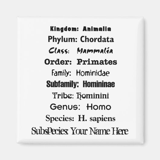 Aimant Homo Sapien (Devant)