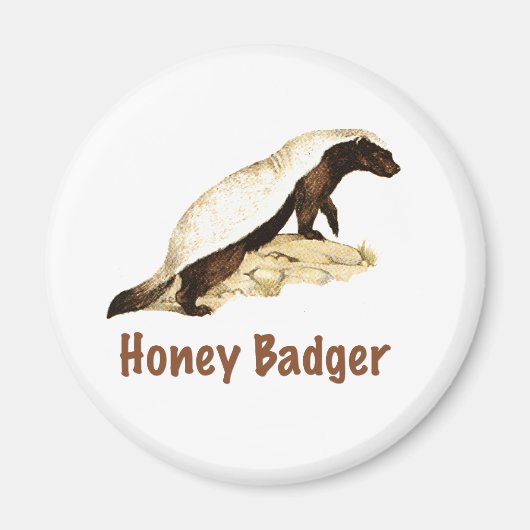 Aimant Honey Badger (Devant)