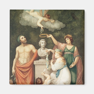 Aimant Honorer le buste de Linnaeus