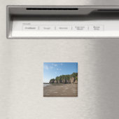 Aimant Hopewell Rocks and The Ocean Tidal Exploration (In Situ (Lave-vaisselle))