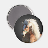 Aimant Horse d'Haflinger (Recto/Verso)