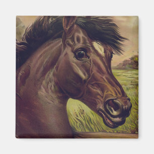 Aimant Horse Ranch Farm Pays Animaux domestiques mignons 
