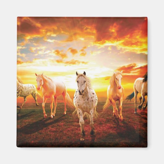 Aimant Horses at sunset throw pillow (Devant)