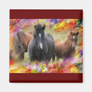 Aimant Horses Colorful