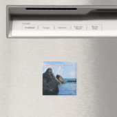 Aimant Horseshoe Bay Bermudes (In Situ (Lave-vaisselle))