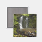 Aimant Horseshoe Falls, Matai Falls (Recto/Verso)