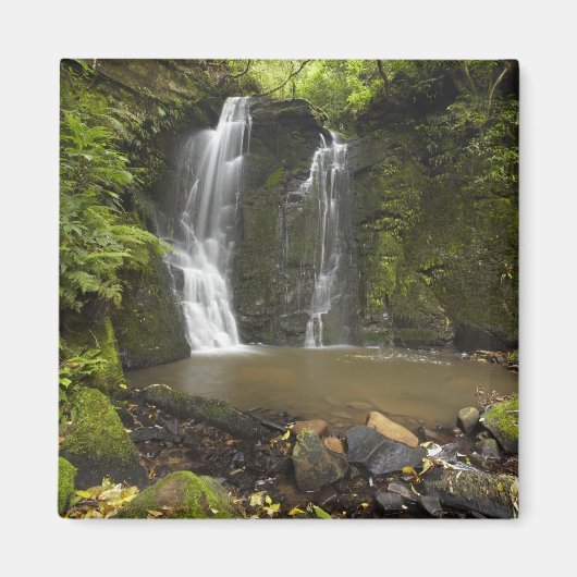 Aimant Horseshoe Falls, Matai Falls (Devant)