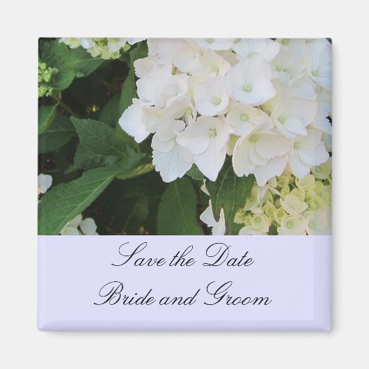 Aimant Hortensias blancs (Devant)