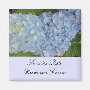 Aimant Hortensias Bleu Bébé