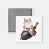 Aimant Hosico Epifania (Recto/Verso)