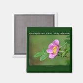 Aimant Hot Springs National Park, AR Wild Rose Don (Recto/Verso)