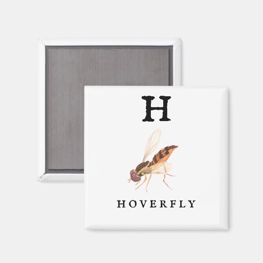Aimant Hoverfly (Recto/Verso)