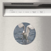 Aimant Hovering Kittiwake (In Situ (Lave-vaisselle))