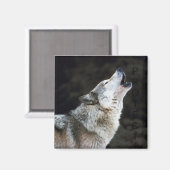 Aimant Howling Wolf (Recto/Verso)