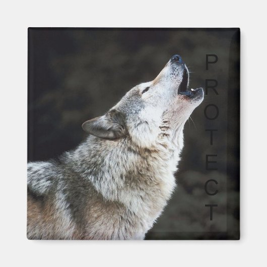 Aimant Howling Wolf (Devant)