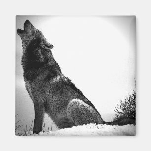 Aimant Howling Wolf in Snow