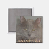 AIMANT HUG A MAMAN COON (Recto/Verso)