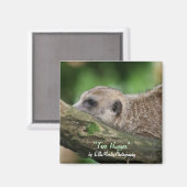 Aimant Hugger d'arbre (Recto/Verso)