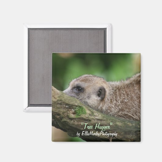 Aimant Hugger d'arbre (Recto/Verso)
