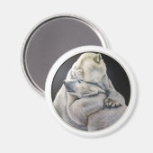 Aimant Huile d'ours (Recto/Verso)