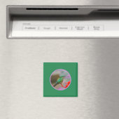 AIMANT HUMMINGBIRD (In Situ (Lave-vaisselle))