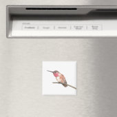 Aimant Hummingbird watercolor (In Situ (Lave-vaisselle))
