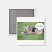 Aimant Humour berger allemand (Recto/Verso)