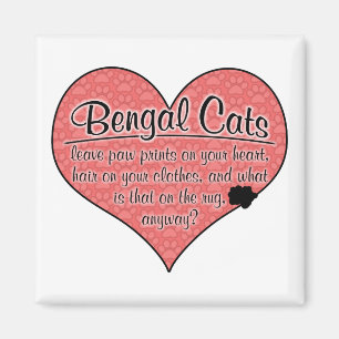 Aimant Humour de chat d'empreintes de pattes du Bengale